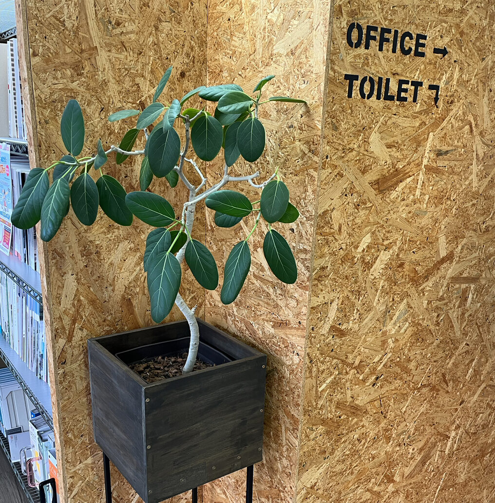 建築士事務所登録｜土浦 注文住宅